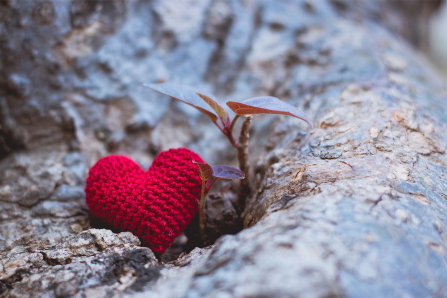 Three Poems by Jane Yolen