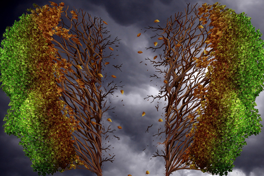 Crying for Water City by Amy Stonestrom