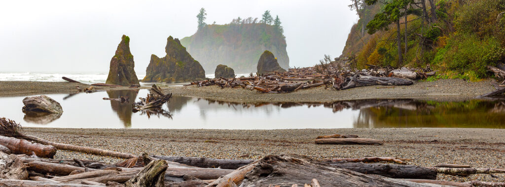 Driftwood on hazy beach, with trees and rock formations reflected in pool of water.
